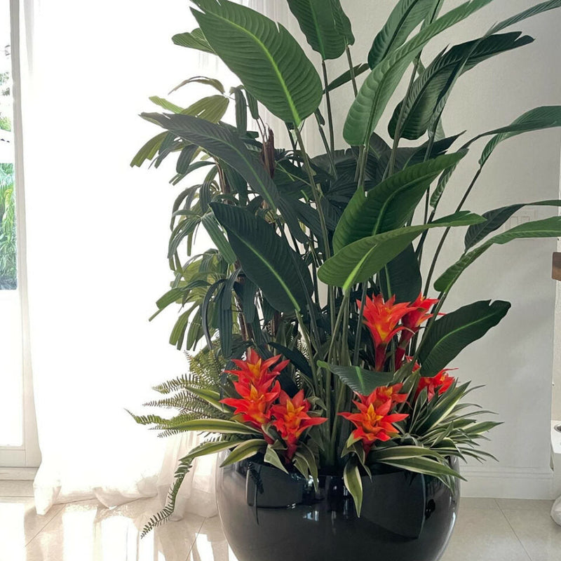 Mix de plantas tropicais Black Terragona